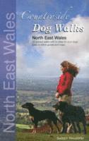 Countryside Dog Walks: North East Wales 1