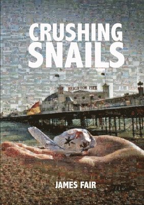 bokomslag Crushing Snails