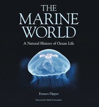 bokomslag The Marine World - A Natural History of Ocean Life