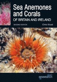 bokomslag Sea Anemones and Corals of Britain and Ireland