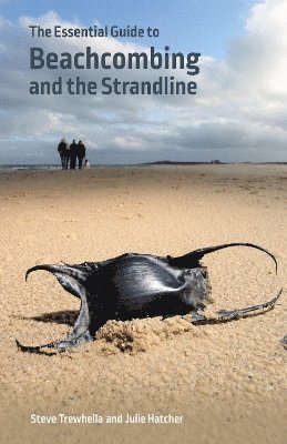 The Essential Guide to Beachcombing and the Strandline 1