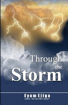 Through The Storm 1