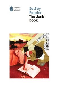 bokomslag Junk Book