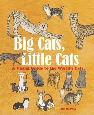 bokomslag Big Cats, Little Cats