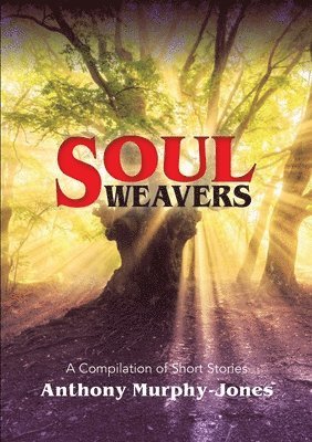 bokomslag Soul Weavers