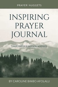 bokomslag Prayer Nugget Inspiring Journal