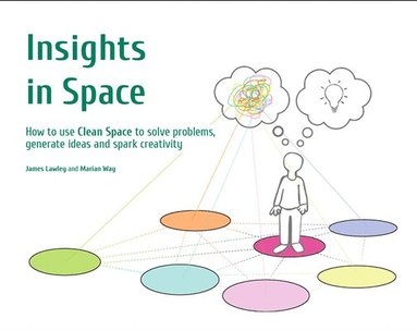 bokomslag Insights in Space