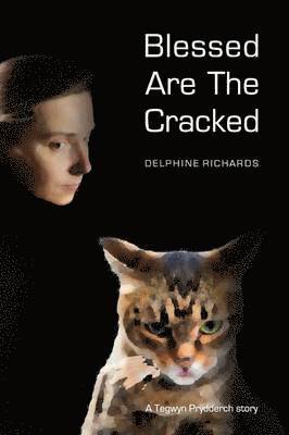 Delphine Richards - Blessed are the Cracked, Häftad