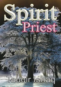 bokomslag Spirit Priest