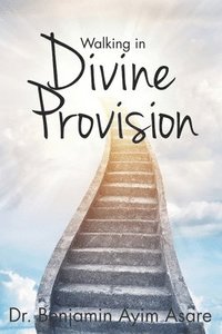 bokomslag Walking in Divine Provision