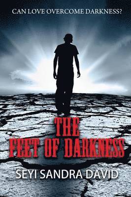 Seyi Sandra David - Feet Of Darkness, Häftad