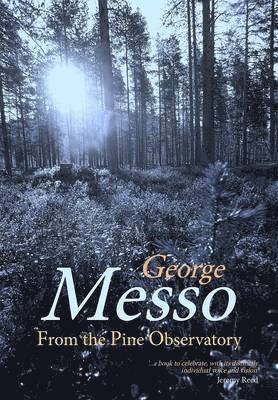 From the Pine Observatory