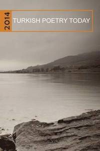 bokomslag Turkish Poetry Today 2014