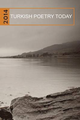 George Messo - Turkish Poetry Today 2014, Häftad