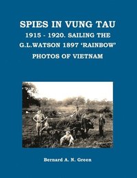 bokomslag Spies in Vung Tau