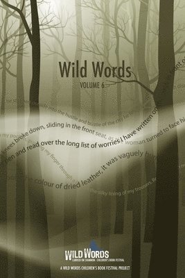Leitrim County Council Arts Office - Wild Words Volume 6, Häftad