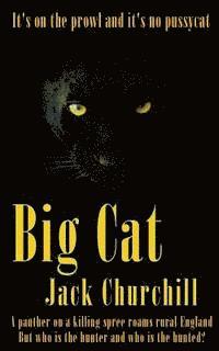 Big Cat 1