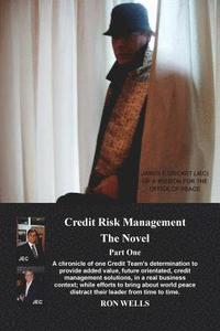 bokomslag Credit Risk Management - The Novel: Part 1