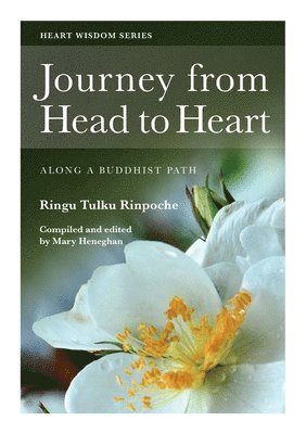Journey from Head to Heart 1
