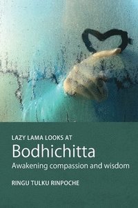 bokomslag Lazy Lama Looks at Bodhichitta
