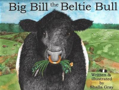 Big Bill the Beltie Bull 1