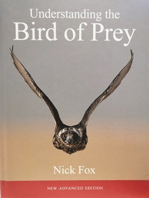 Understanding the Bird of Prey 1