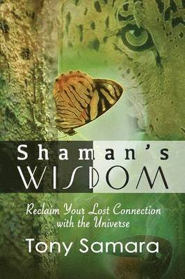 bokomslag Shaman's Wisdom