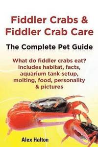 bokomslag Fiddler Crabs & Fiddler Crab Care. Complete Pet Guide. What do fiddler crabs eat? Includes habitat, facts, aquarium tank setup, molting, food, personality & pictures