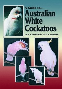 bokomslag Australian White Cockatoos