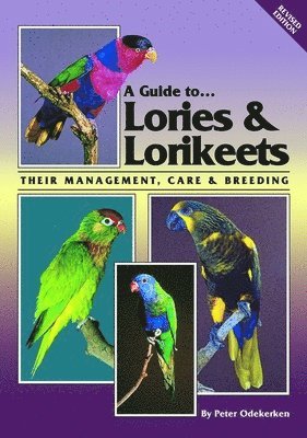 GT LORIES & LORIKEETS REV/E 2/