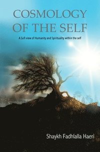 bokomslag Cosmology of the Self
