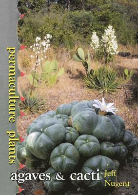 bokomslag Permaculture Plants