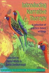 bokomslag Introducing Narrative Therapy - Practice-Based Writings