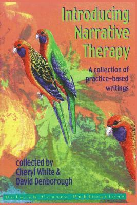 David Denborough, Cheryl White, David Denborough - Introducing Narrative Therapy - Practice-Based Writings, Häftad