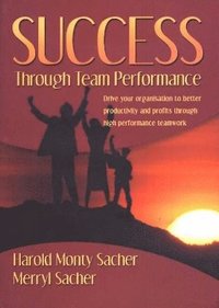 bokomslag Success Through Team Performance
