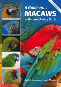 bokomslag A Guide to Macaws