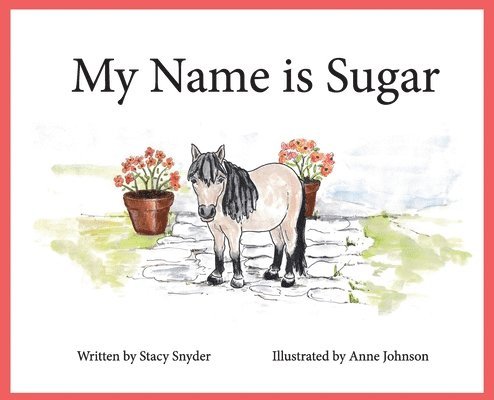 Stacy T Snyder, Stacy T. Snyder, Stacy T, Snyder - My Name is Sugar, Inbunden