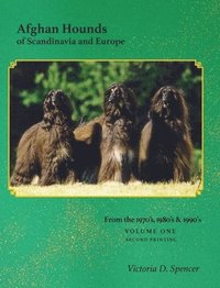 bokomslag Afghan Hounds of Scandinavia and Europe