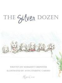bokomslag The Silver Dozen