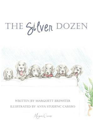bokomslag Silver Dozen