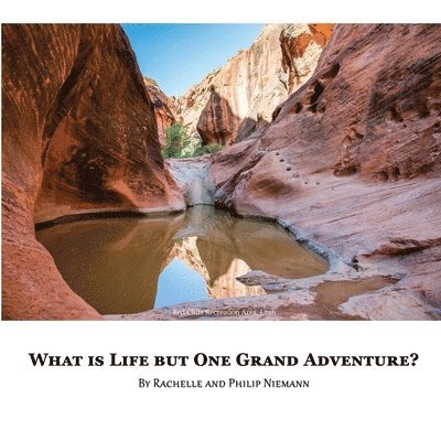 Rachelle Niemann - What is Life but One Grand Adventure?, Häftad