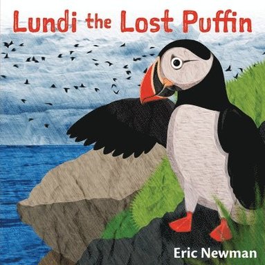 bokomslag Lundi the Lost Puffin