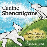 bokomslag Canine Shenanigans