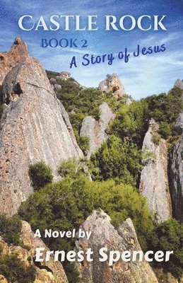 Story of Jesus