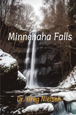 bokomslag Minnehaha Falls