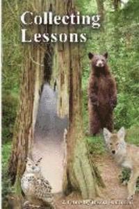 David Hartman - Collecting Lessons: A Fable, Häftad