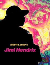 bokomslag Elliott Landy's Jimi Hendrix: Favorite Photos with a story by Al Aronowitz