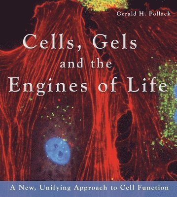 Cells, Gels & the Engines of Life