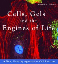 bokomslag Cells, Gels and the Engines of Life