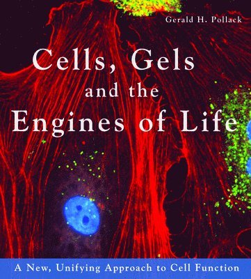 Cells, Gels and the Engines of Life 1